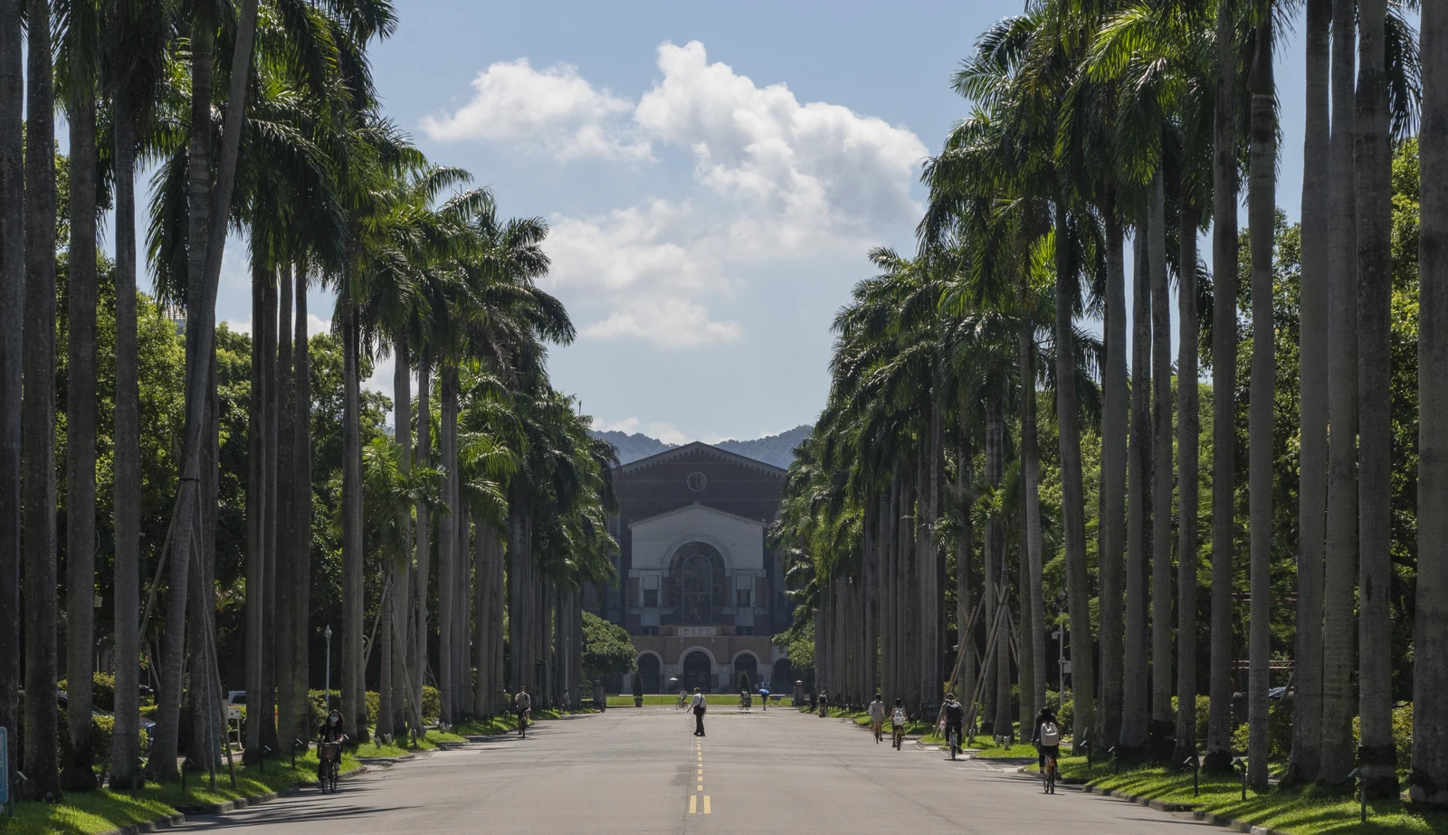 台灣大學椰林大道