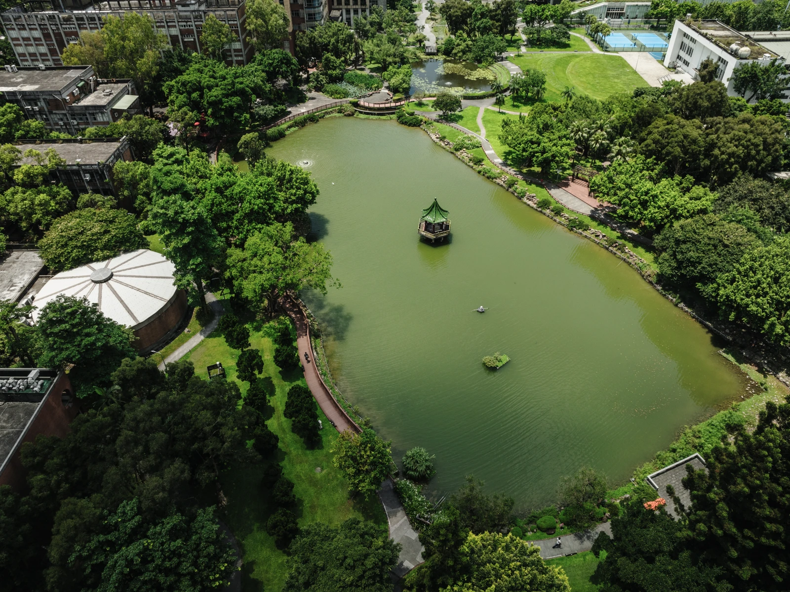 台灣大學醉月湖